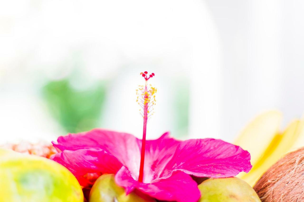 Bequia - Luxury Boutique