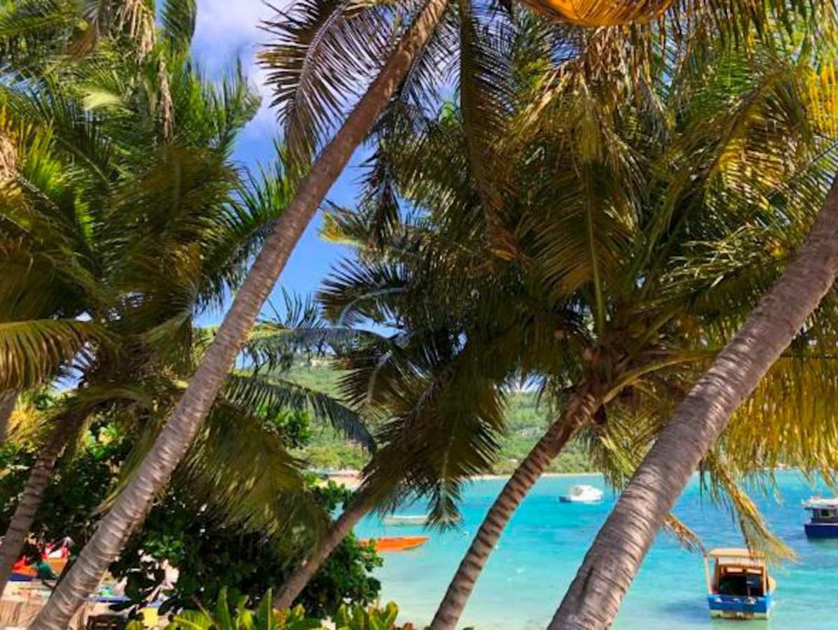 Bequia Beachfront Hotel Friendship
