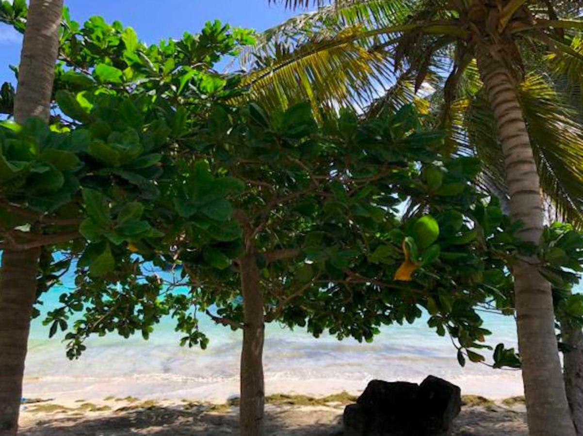 Bequia Beachfront Hotel 4*