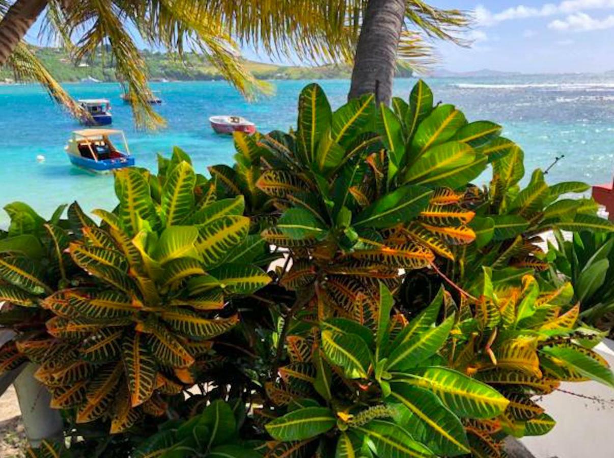 Bequia Beachfront Hotel 4*