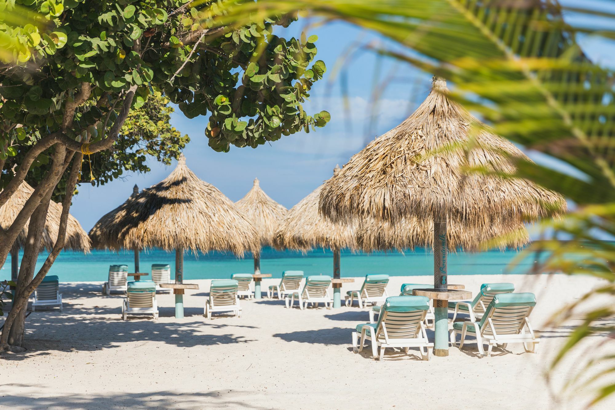 Hotel Boardwalk Boutique Aruba - Adults Only Palm Beach