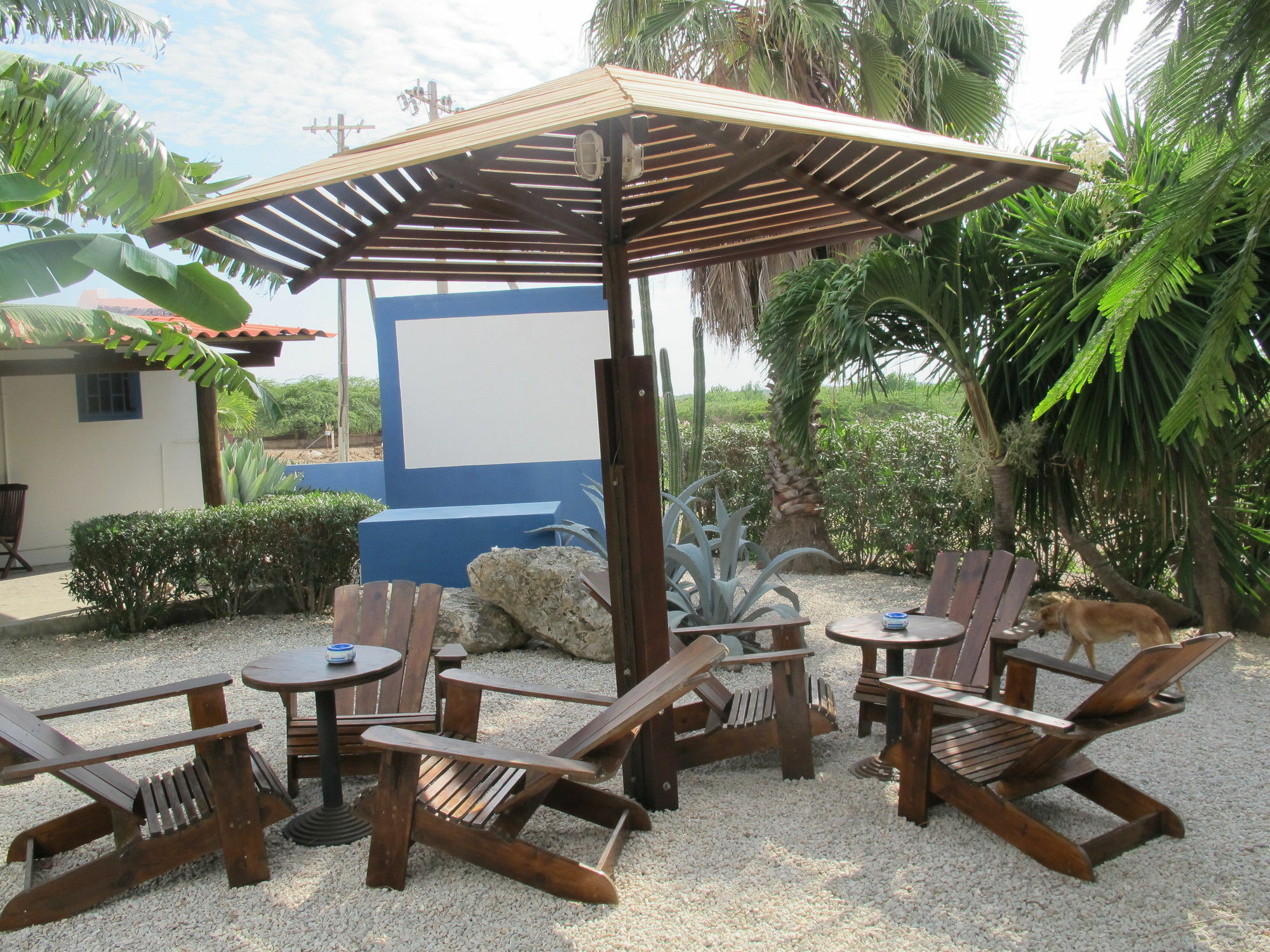 Caribbean Chillout Aparthotel