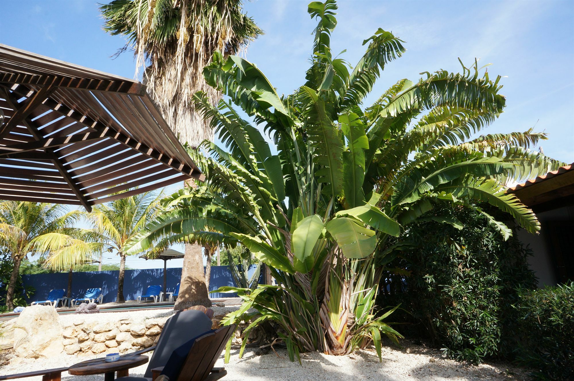 Aparthotel Caribbean Chillout 3*