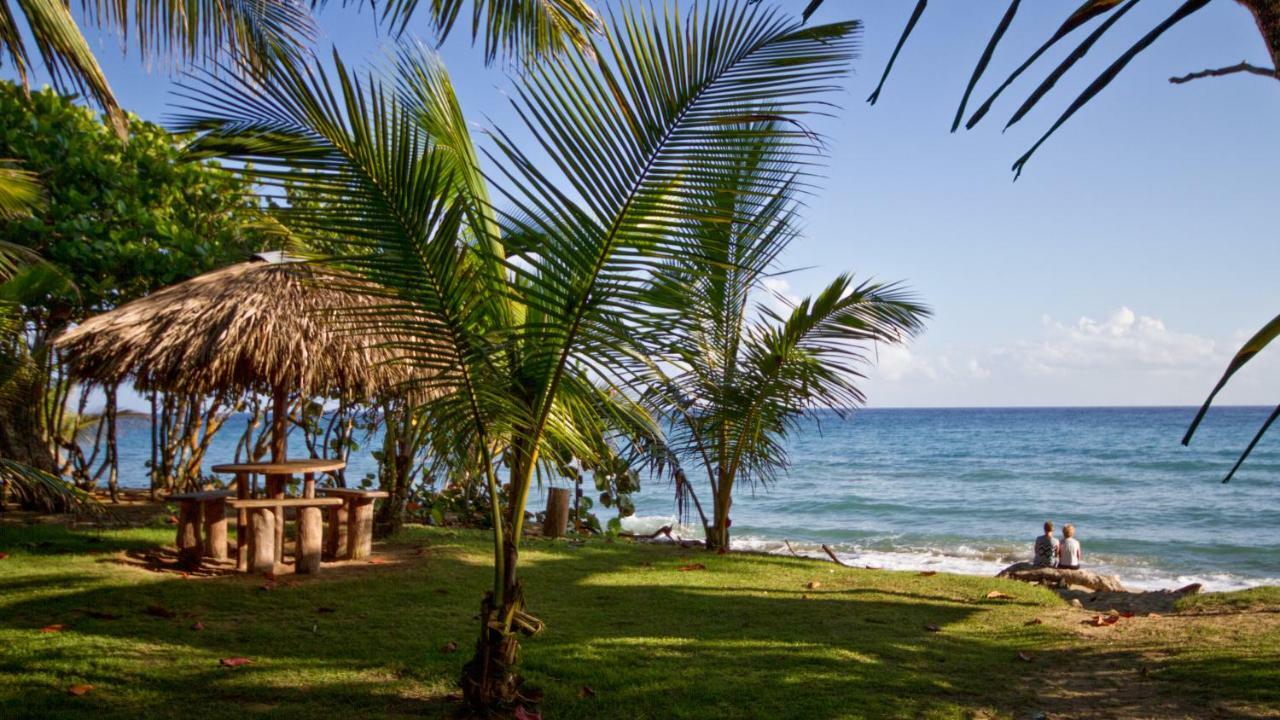 Natura Boutique & By Mint Cabarete