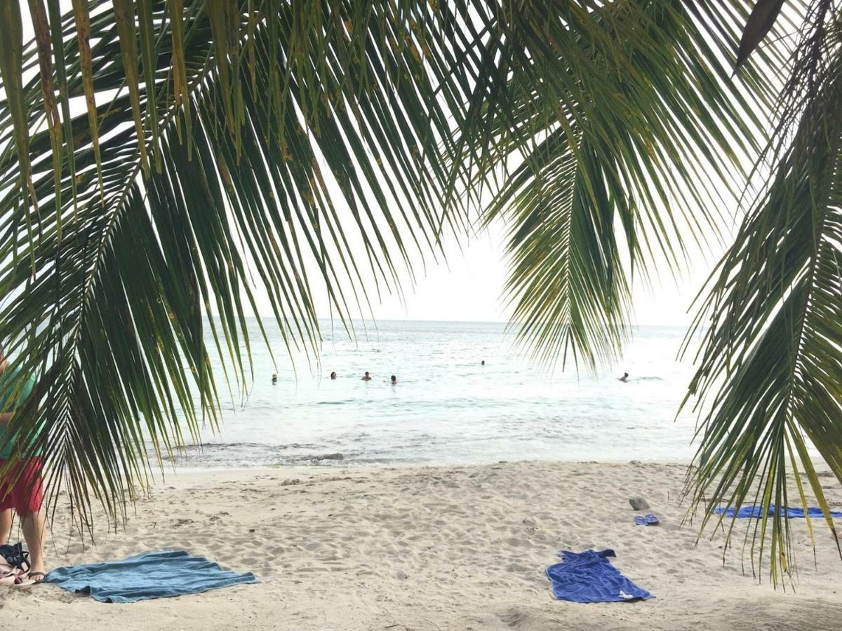 Aparthotel Ti Paradis De L'anse Figuier Site En Martinique