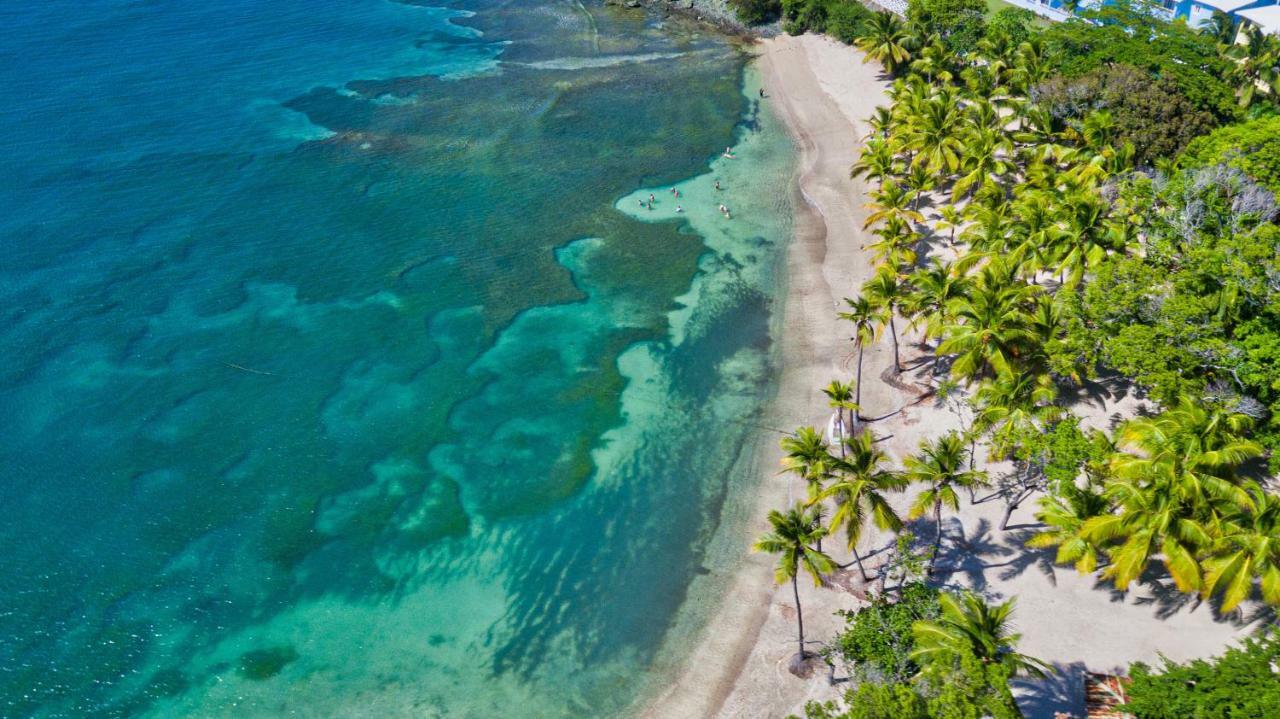 Senator 5* Puerto Plata
