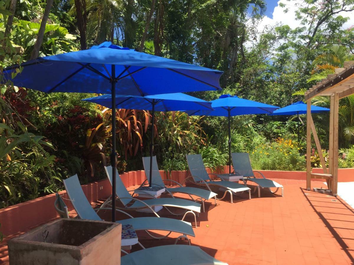 Bed & Breakfast El Pequeno Canovanas