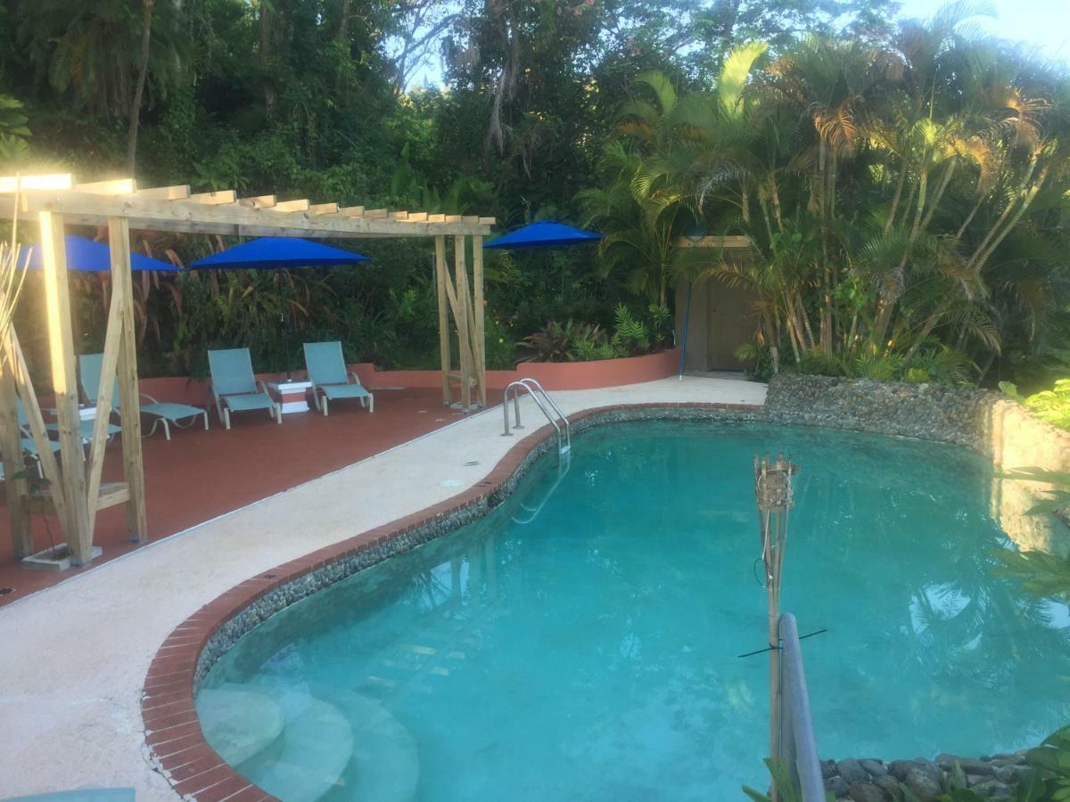 Bed & Breakfast El Pequeno Canovanas