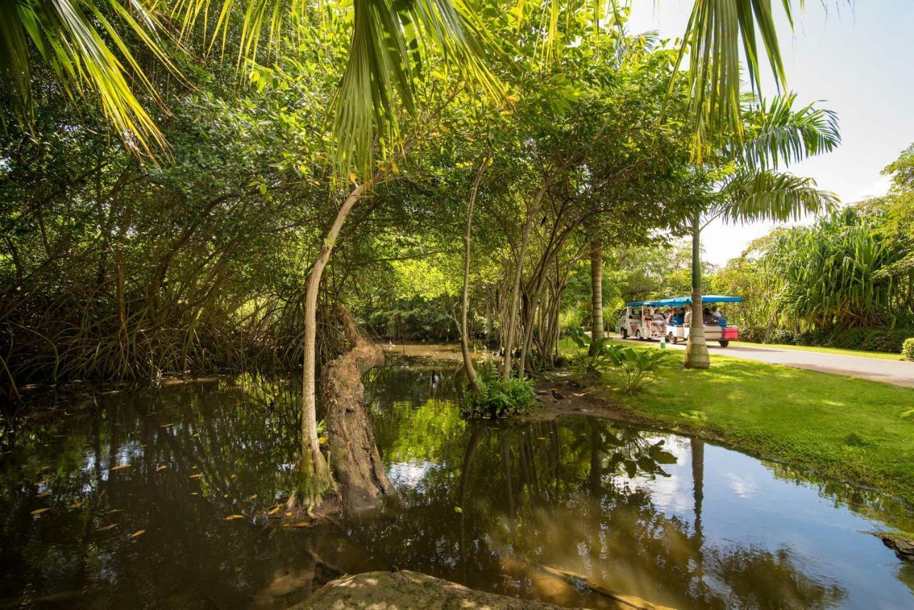 Resort Princess Family Club Bavaro