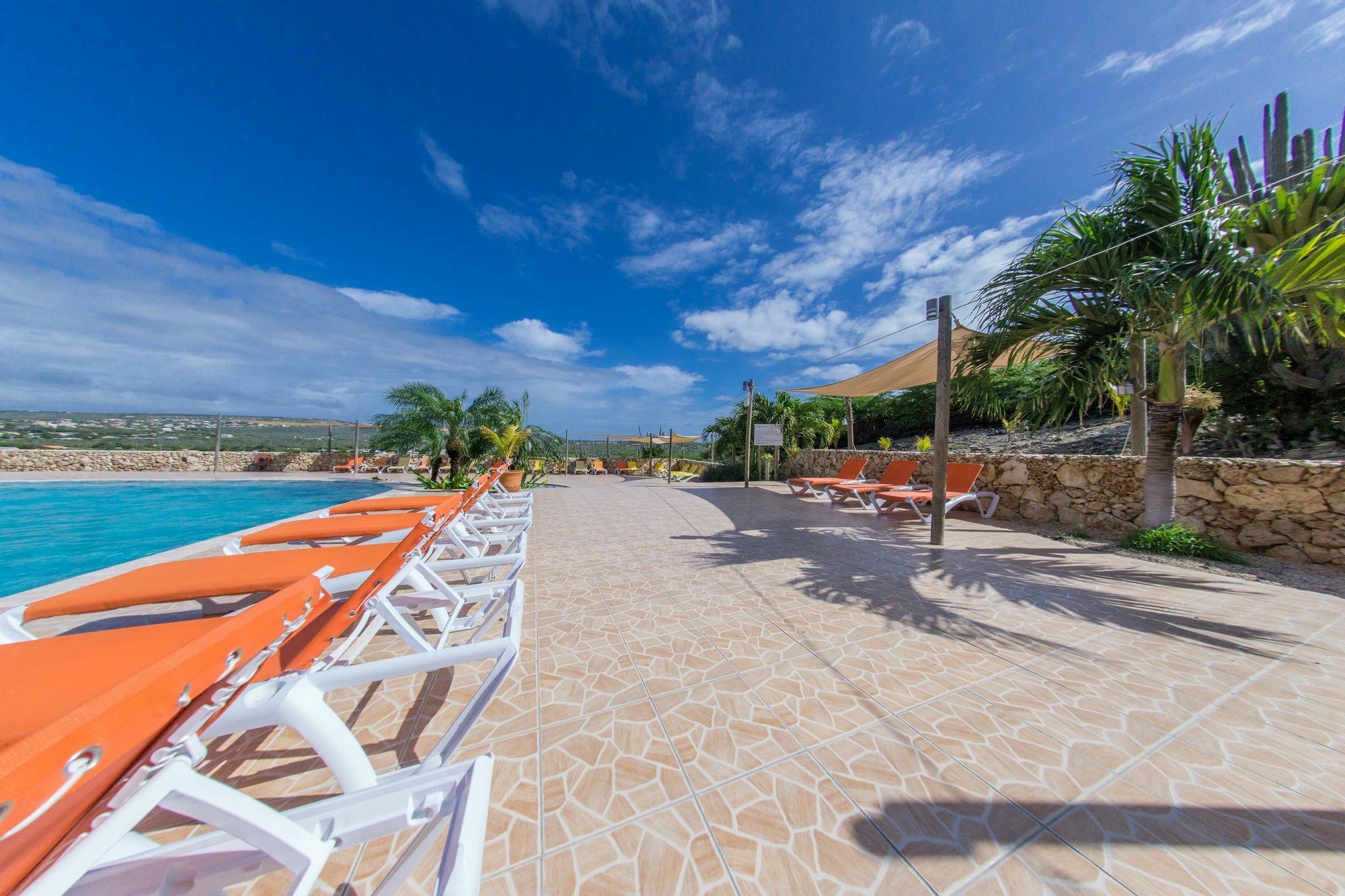 Hillside Bonaire * Playa