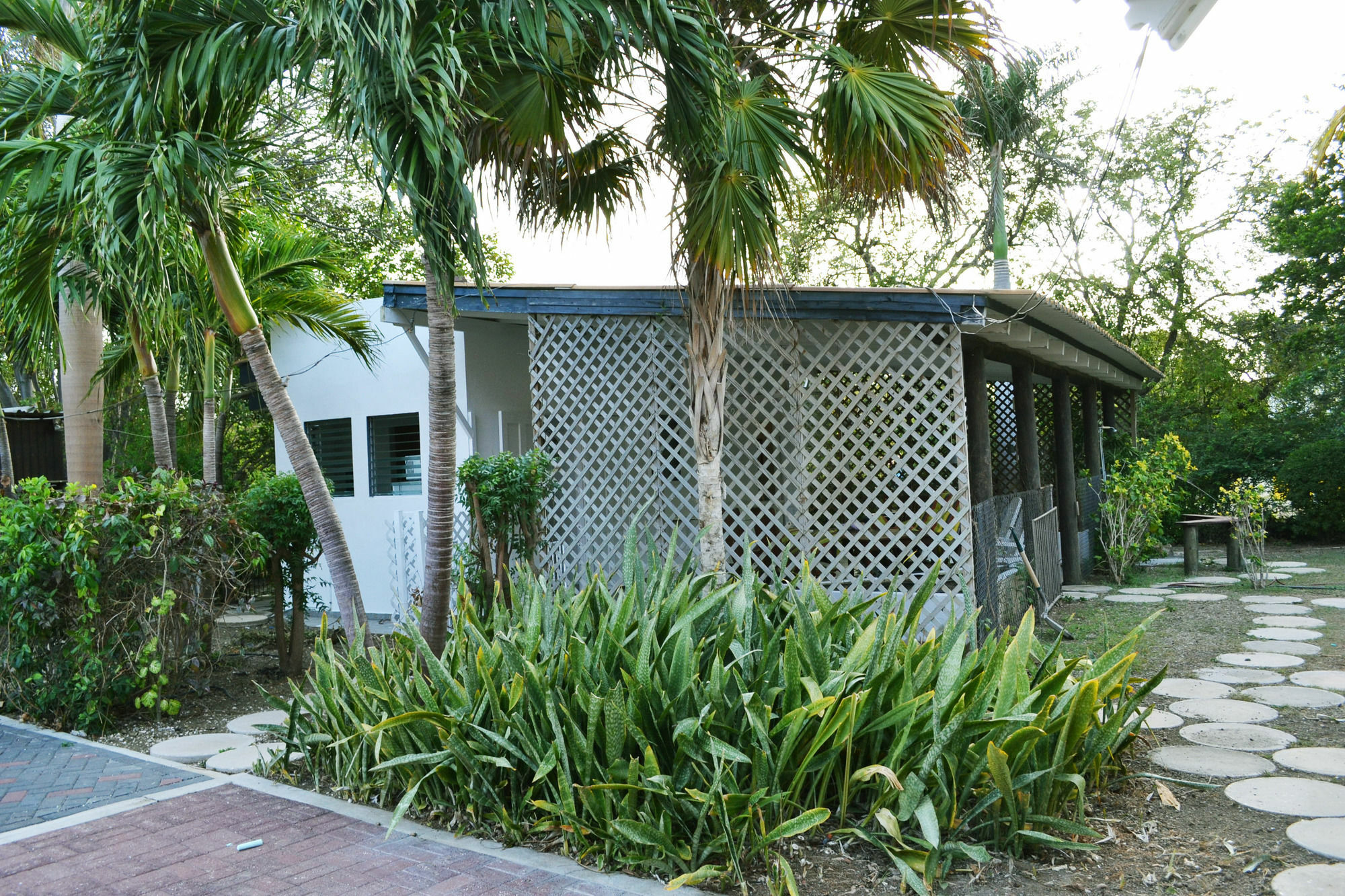 Palm Trees Apartamento