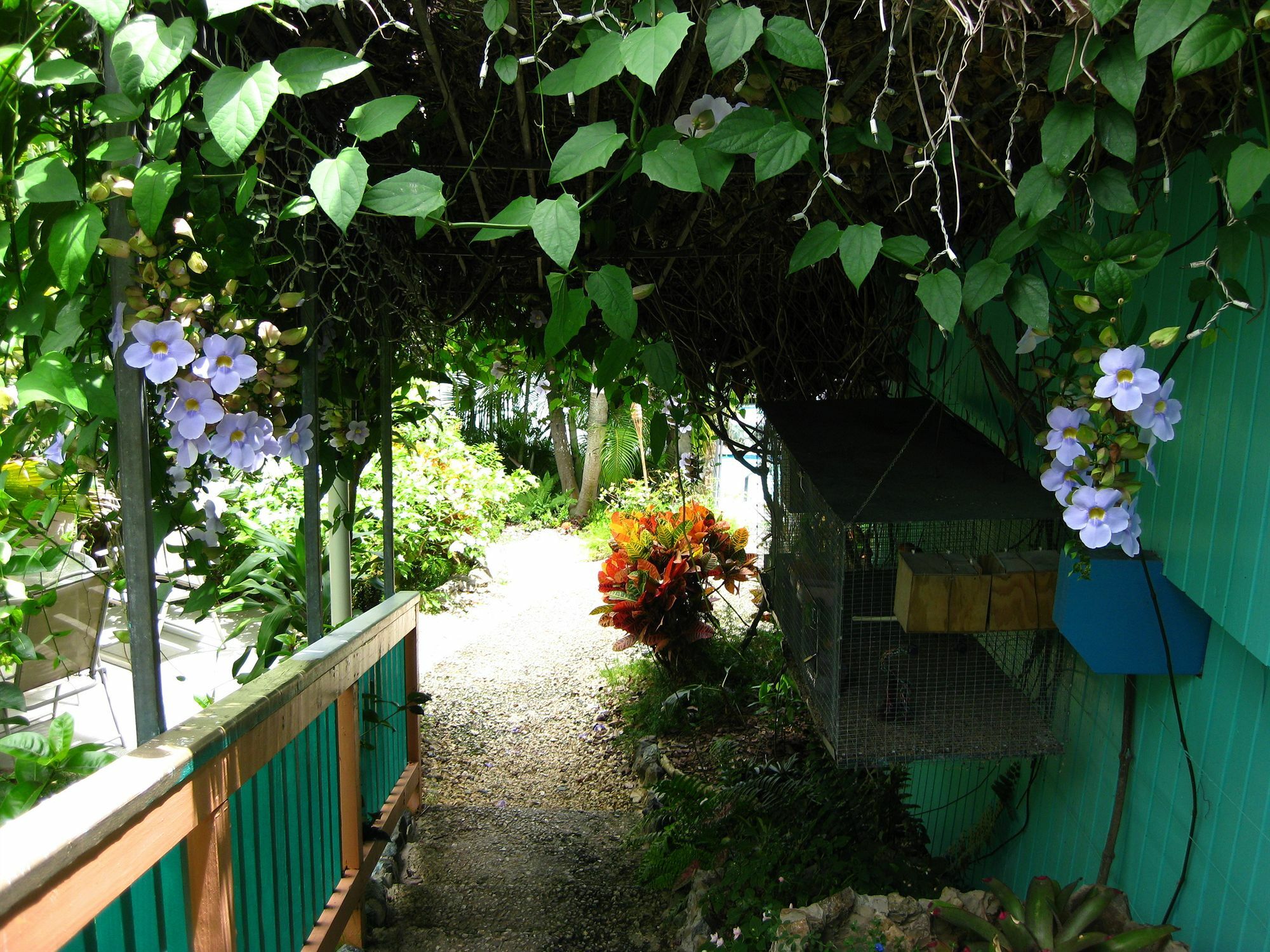 Lazy Parrot Hotel Rincon