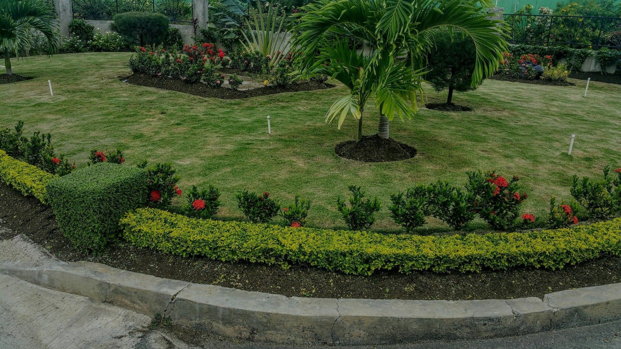 Fern Court With Oceanic View Iii *
