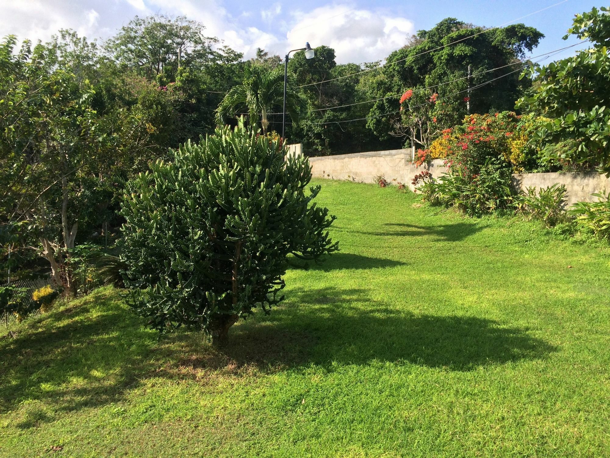 Casa de hóspedes Teresinajamaica 2*