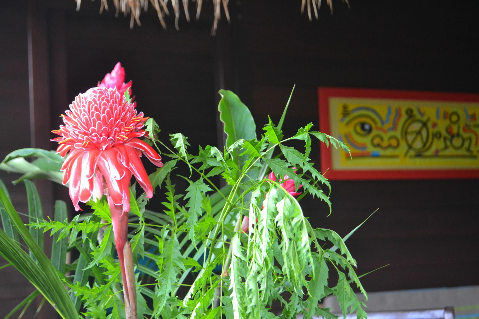 Piton Holiday home