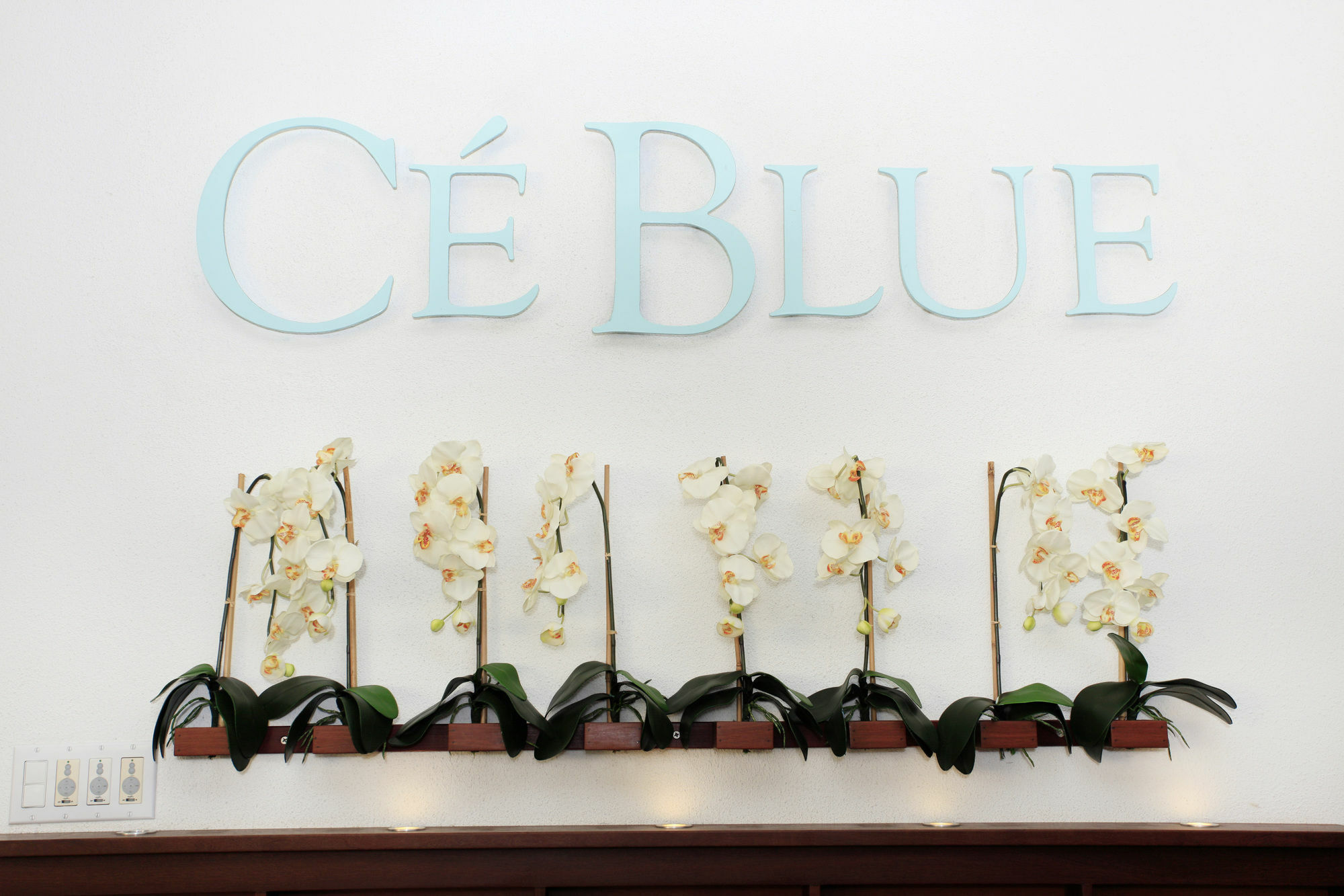 Ceblue