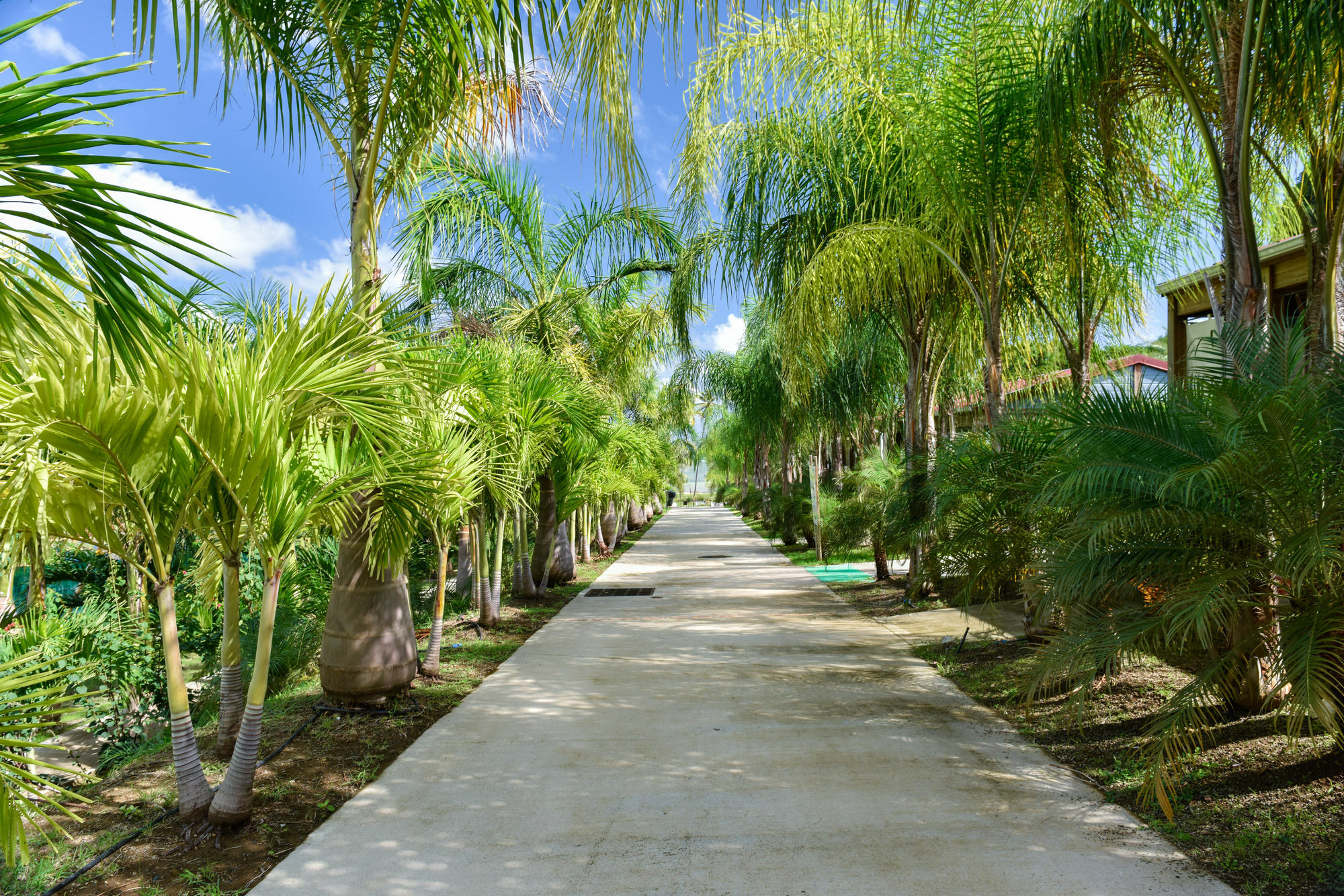 Le Village De La Pointe