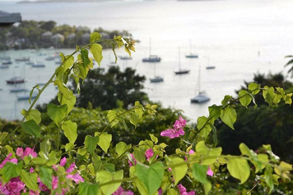 Estate Lindholm 4* Cruz Bay
