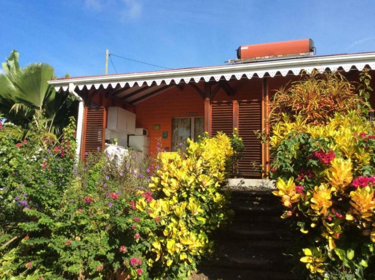 Manguier Guest house *