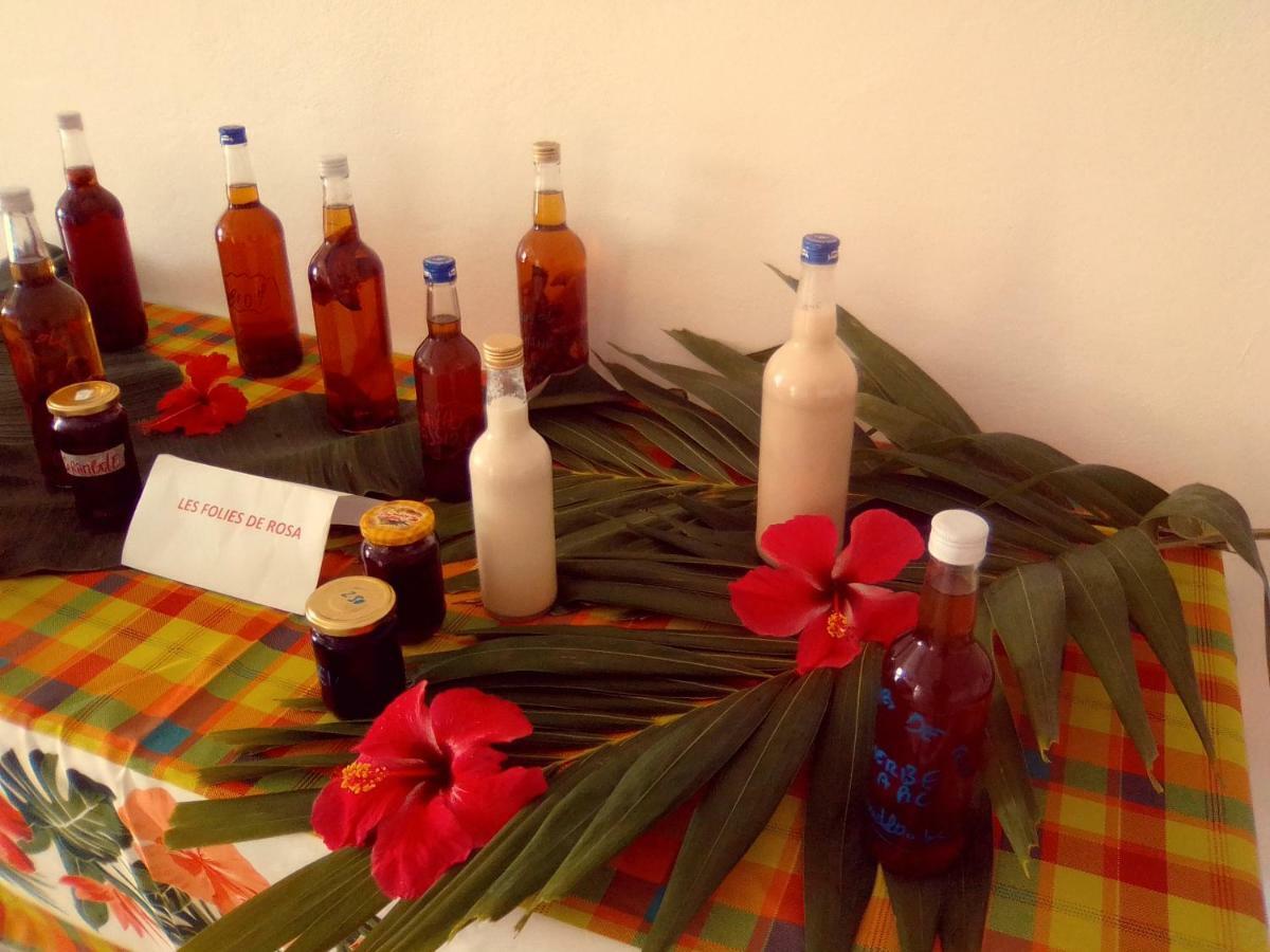 Tournesol D Or Apartment