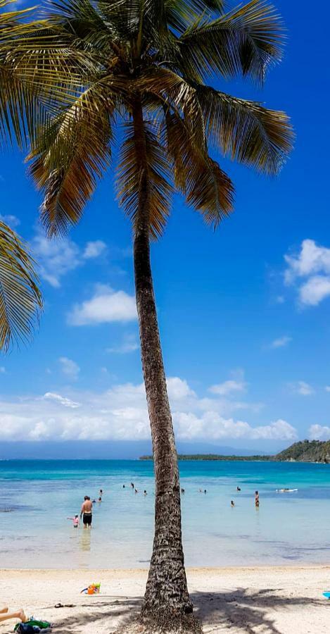 Blue Paradise *