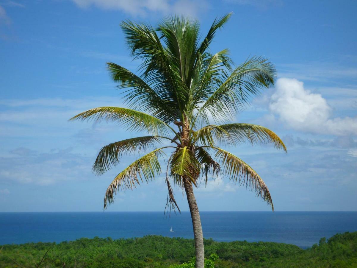 Domaine De L'anse Ramier Aparthotel 3*
