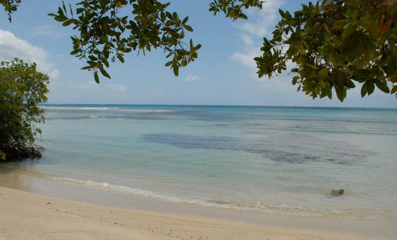 Hotel South Coast Horizon
