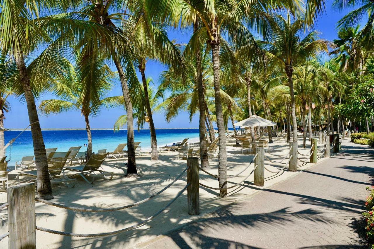 Harbour Village Club 4* Kralendijk (Bonaire)