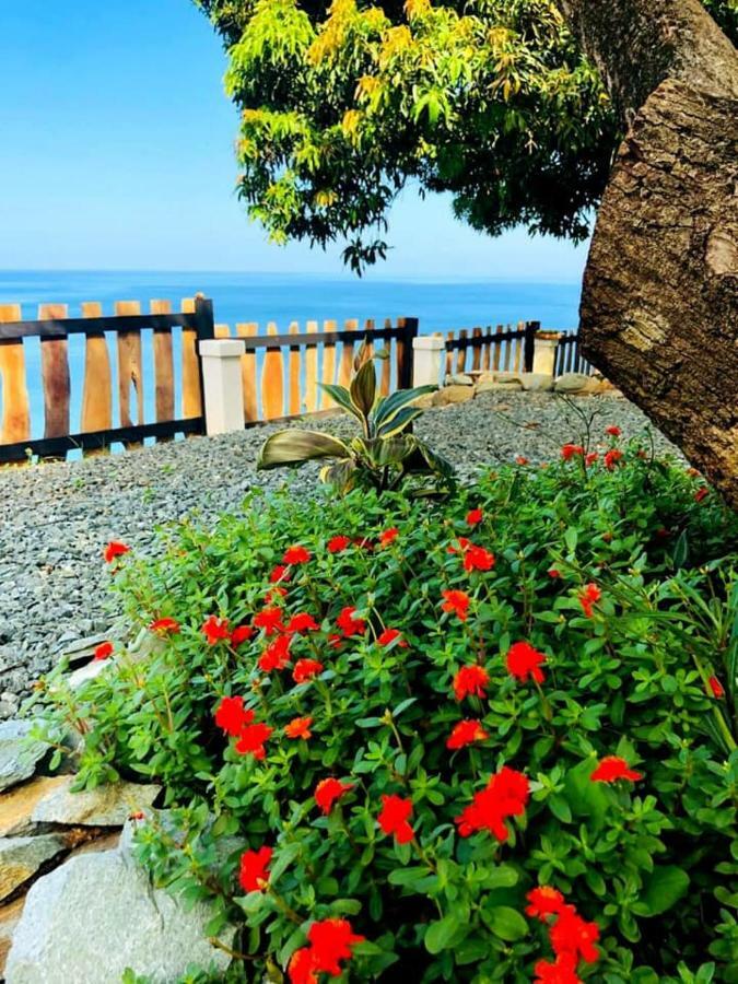 Castara Inn