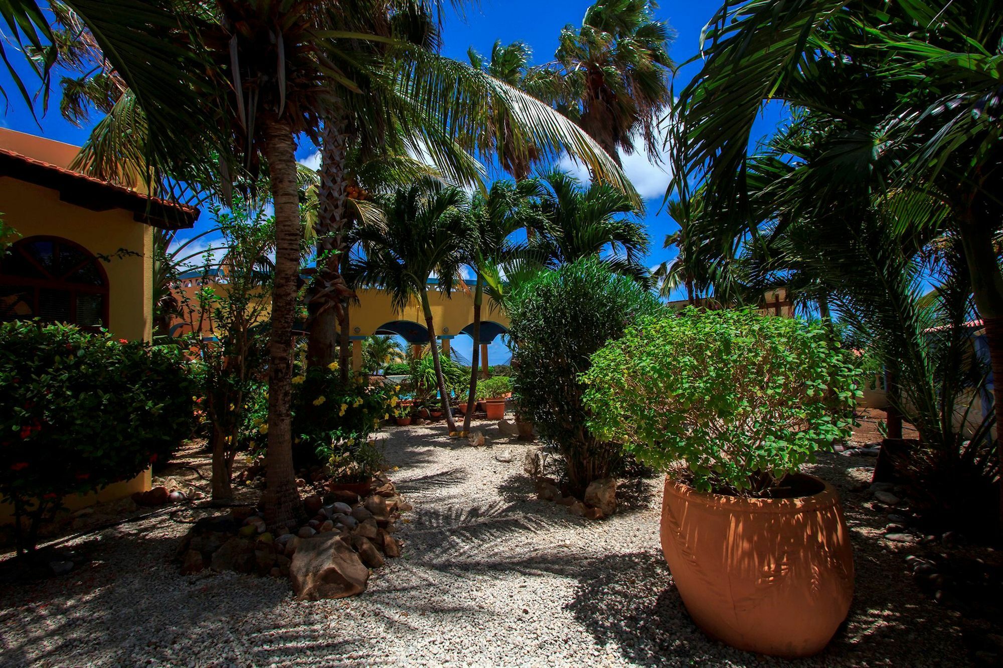Casa de hóspedes Goood Playa
