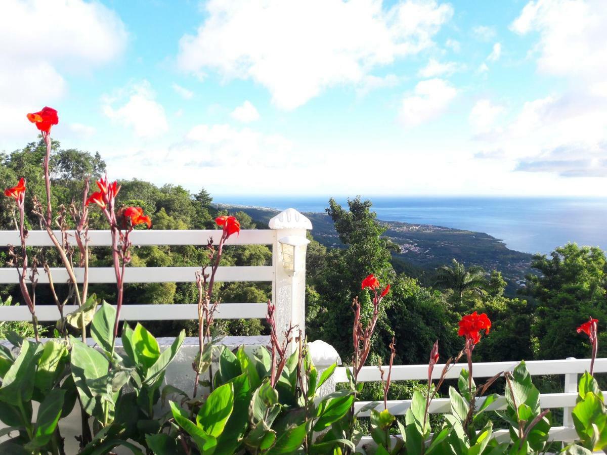 Belavue & Prive, Avec Vue Panoramique Sur Mer, Jardin Creole Paysager, Jacuzzi Prive Holiday home *