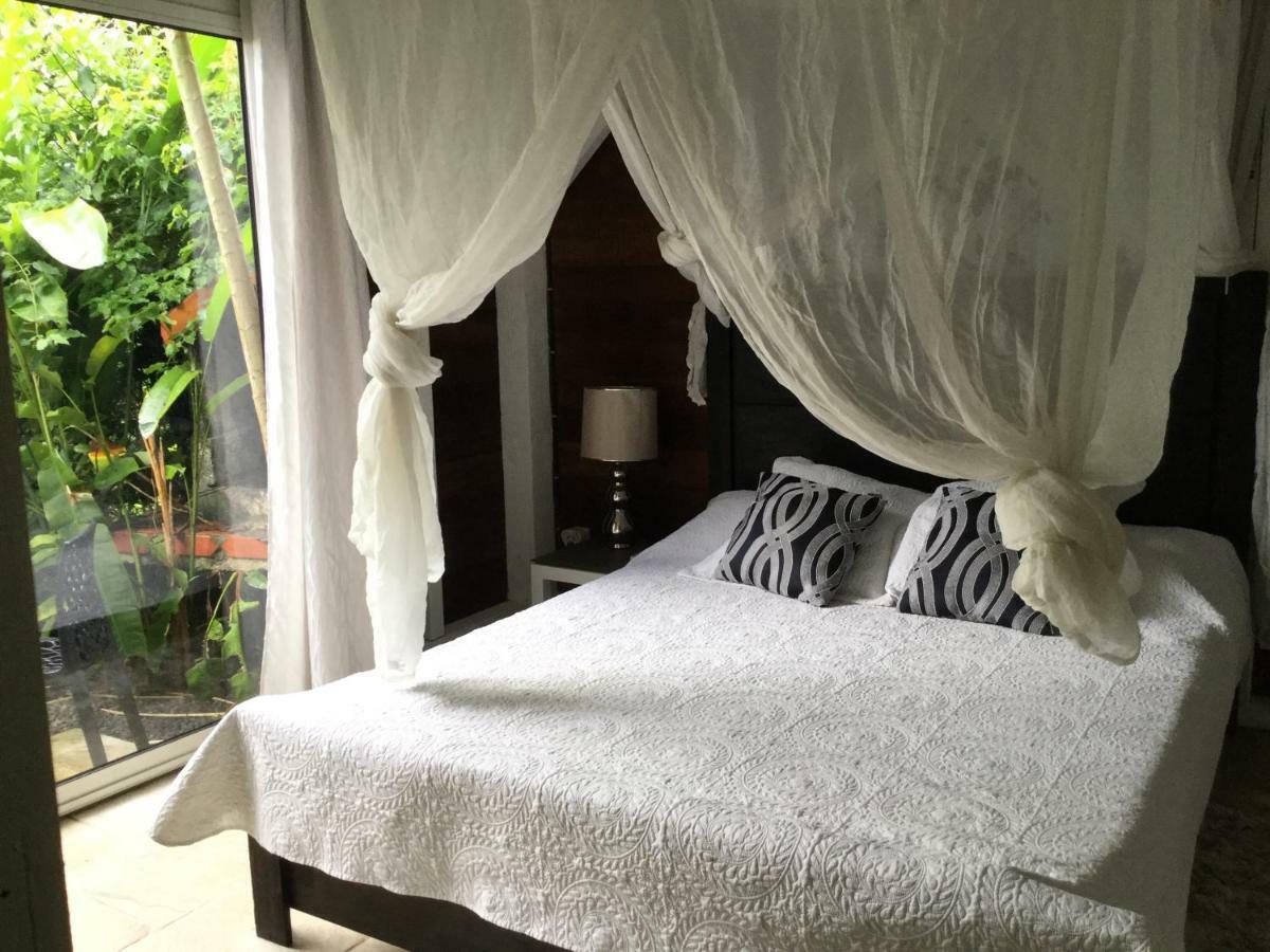 Guest house Racoon Pointe-a-Pitre (Grande-Terre)