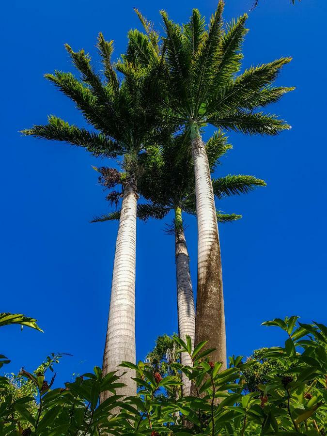 Blue Paradise
