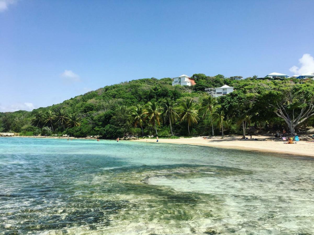 Apartment Brin D'ile Anse Des Rochers Vue A 50 M De La Et Piscine