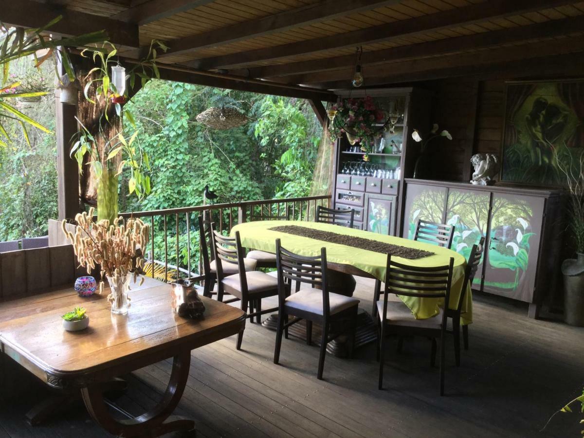Guest house Racoon *