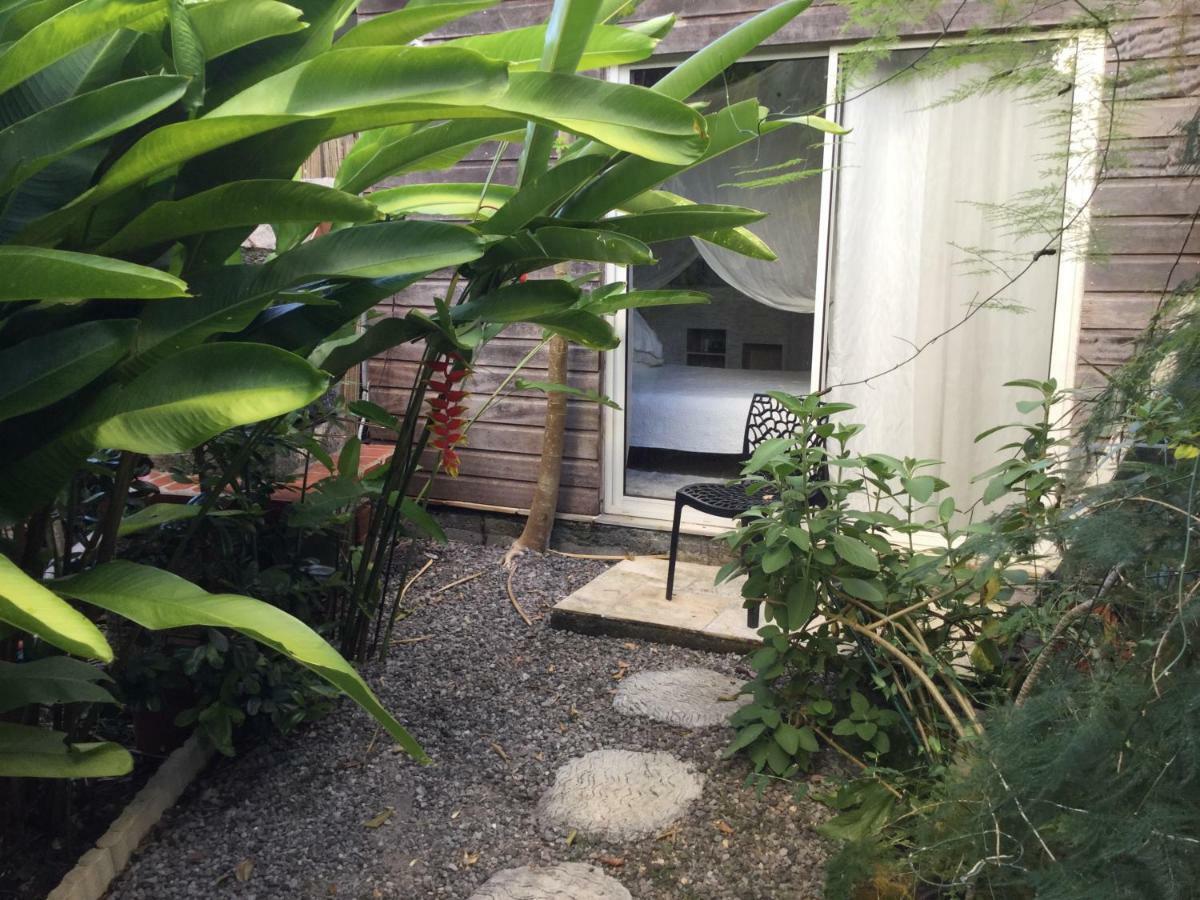 Guest house Racoon *