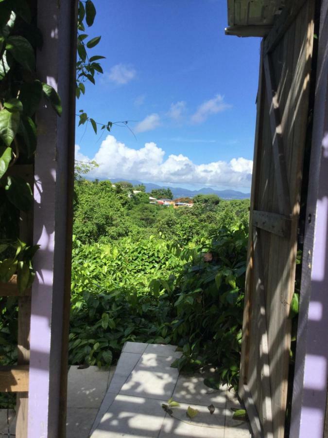 Racoon Guest house Pointe-a-Pitre (Grande-Terre)