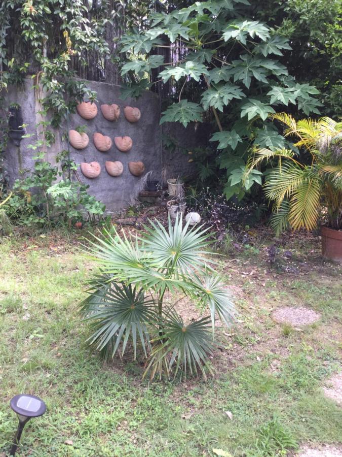 Racoon Guest house Pointe-a-Pitre (Grande-Terre)