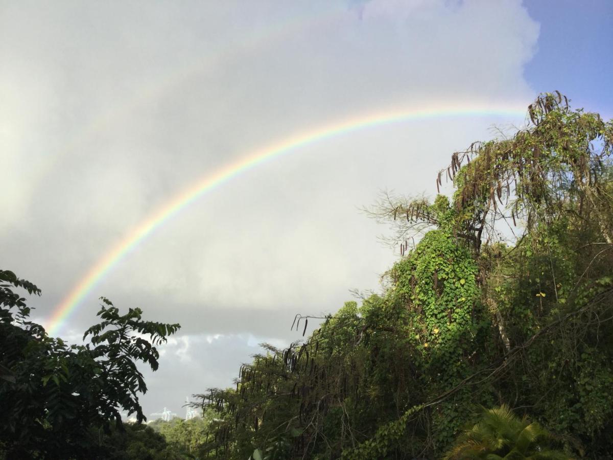 Racoon Guest house Pointe-a-Pitre (Grande-Terre)