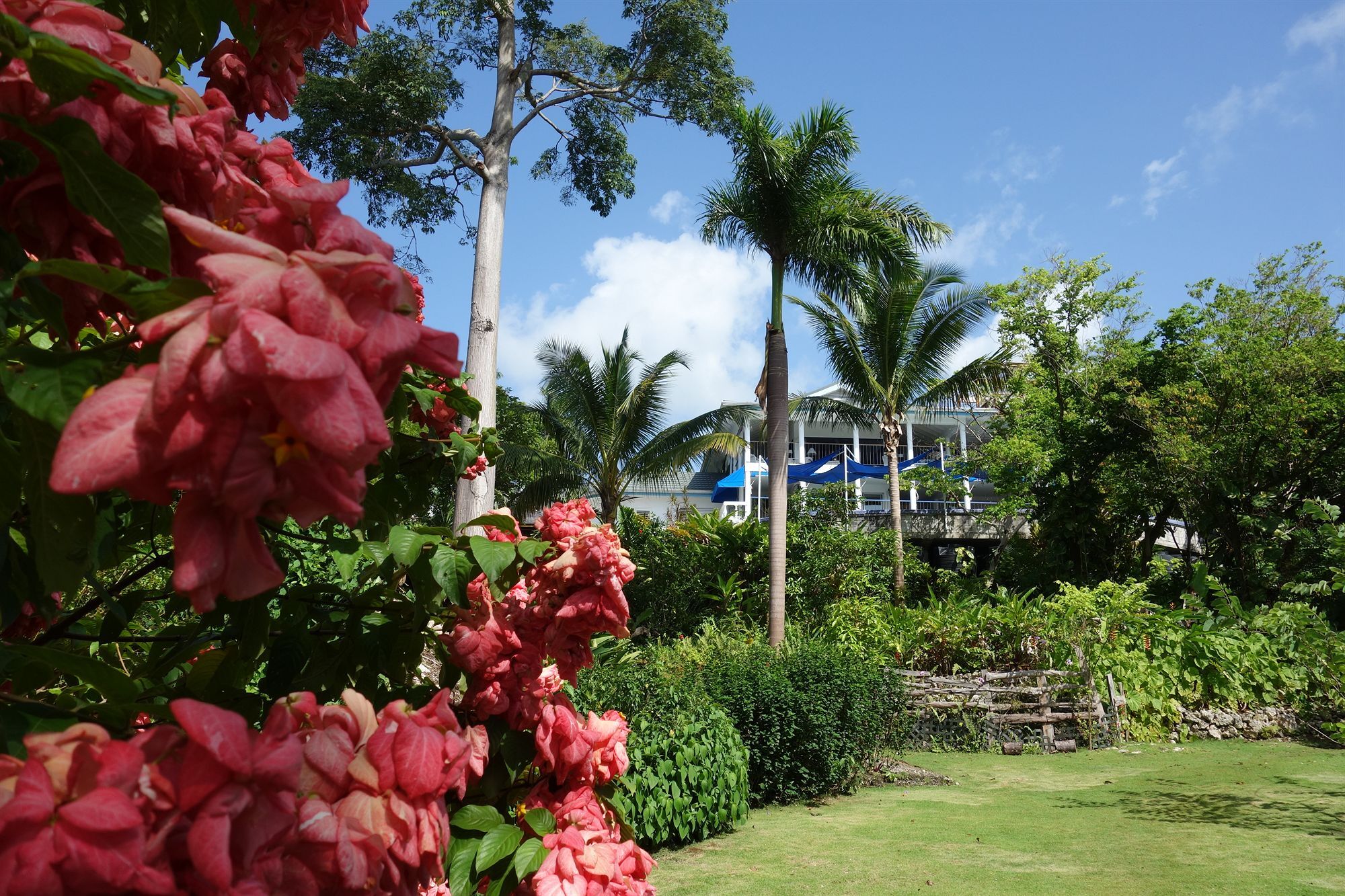 Mockingbird Hill 4* Port Antonio