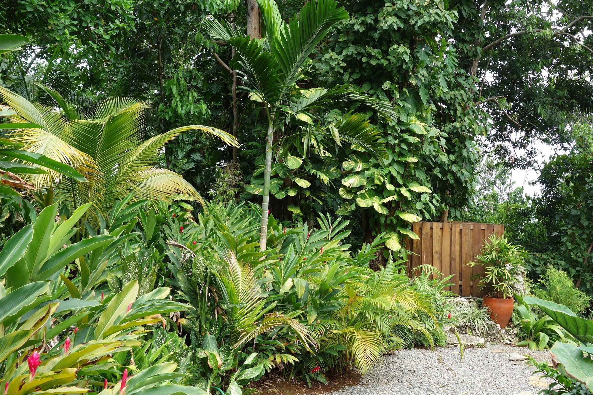 Mockingbird Hill 4*