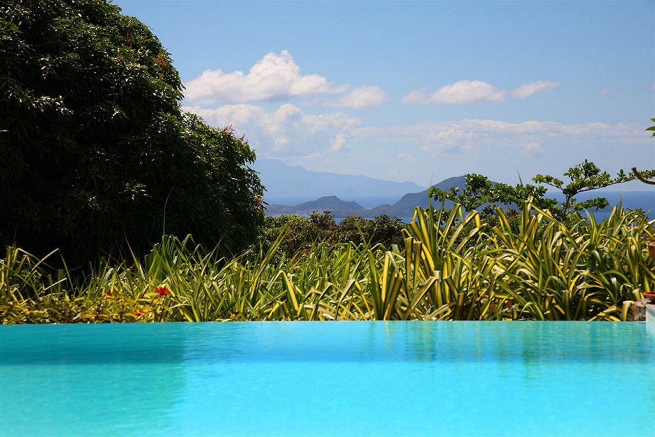Jardin Malanga
