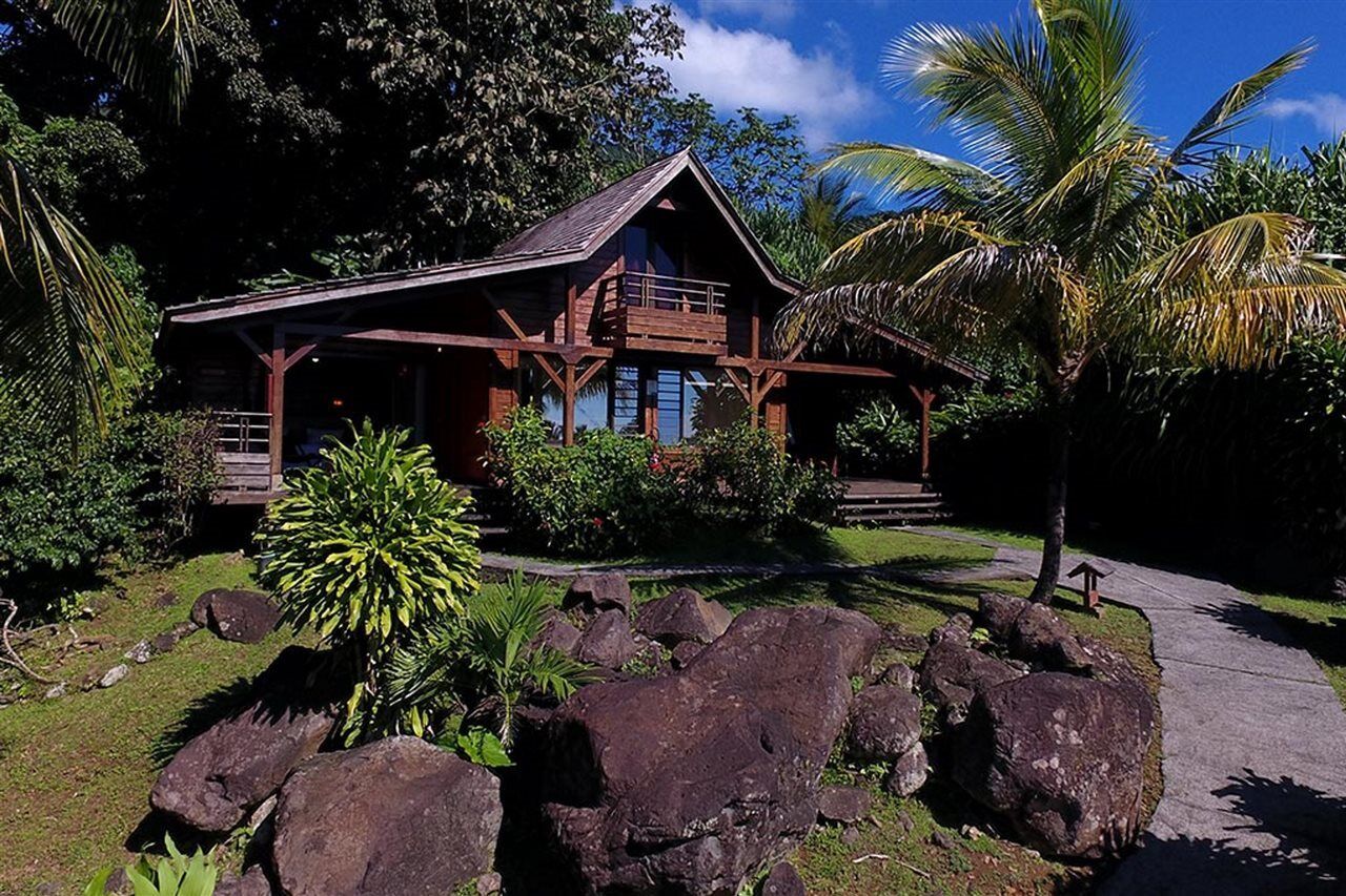 Jardin Malanga