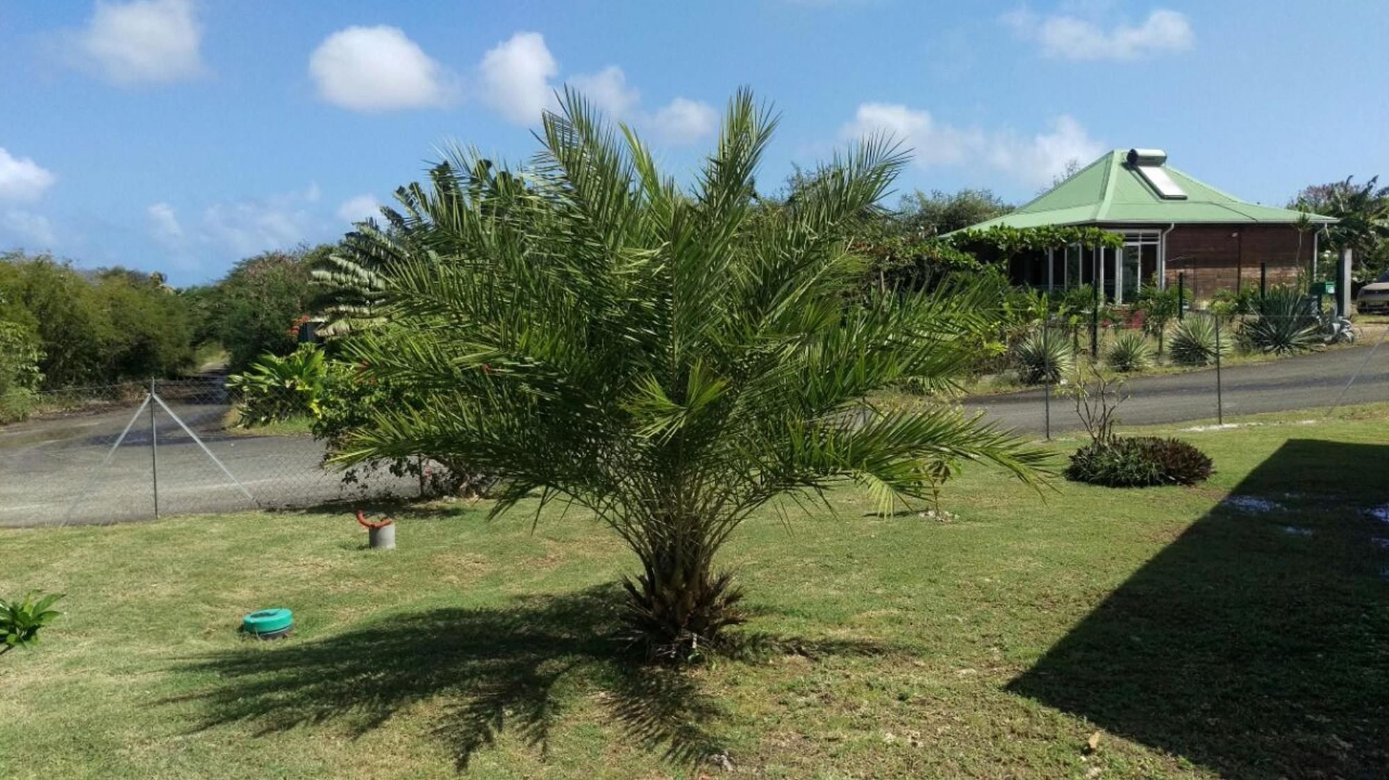 With 2 Bedrooms In Anse-bertrand, With Furnished Garden And Wifi * Anse-Bertrand