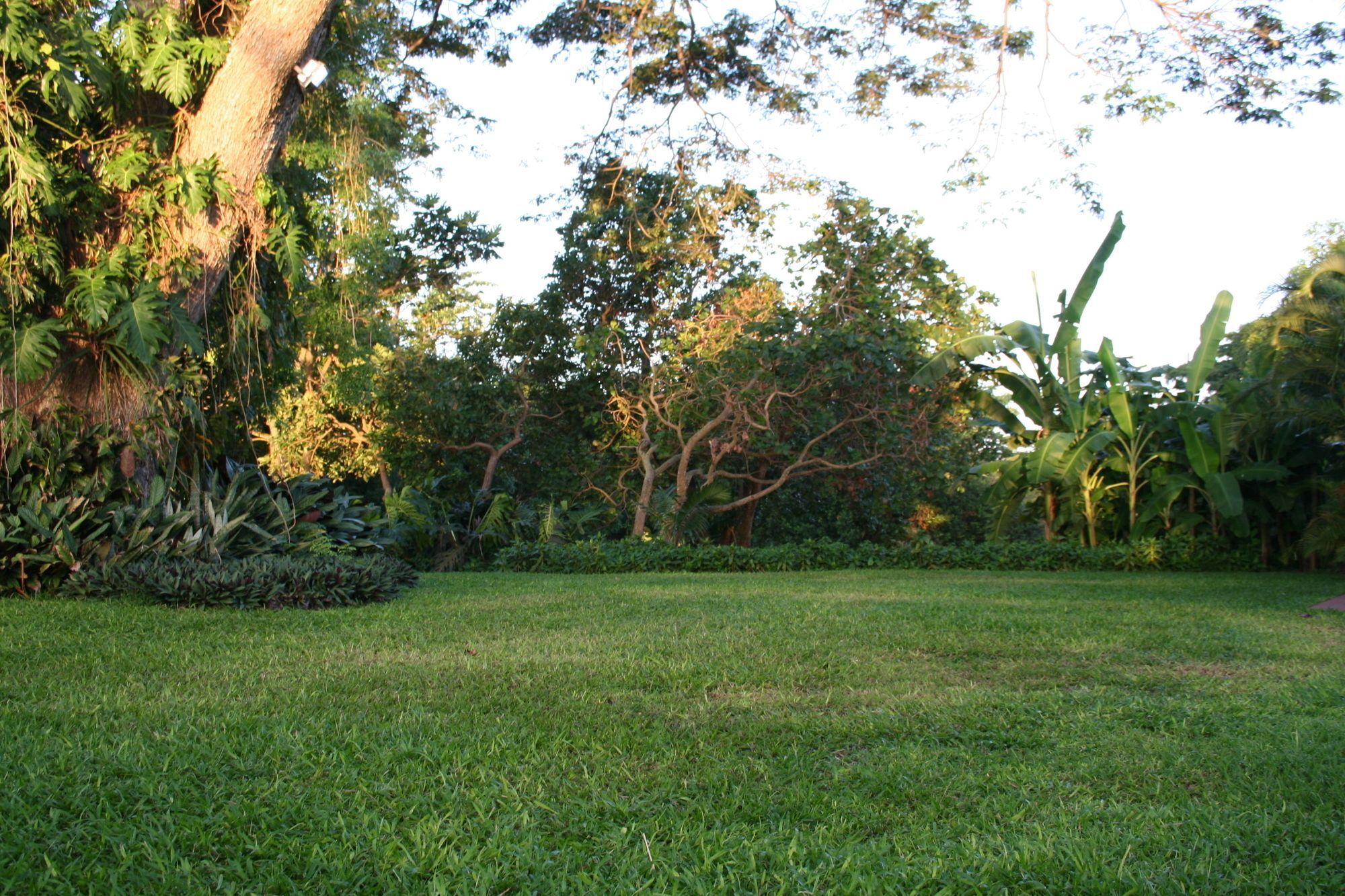 Habitation Du Comte Hotel 3*