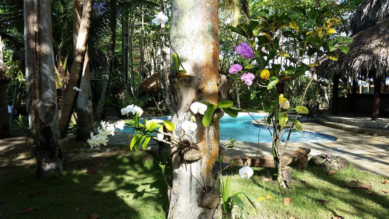 Natura Boutique & By Mint Hotel Cabarete