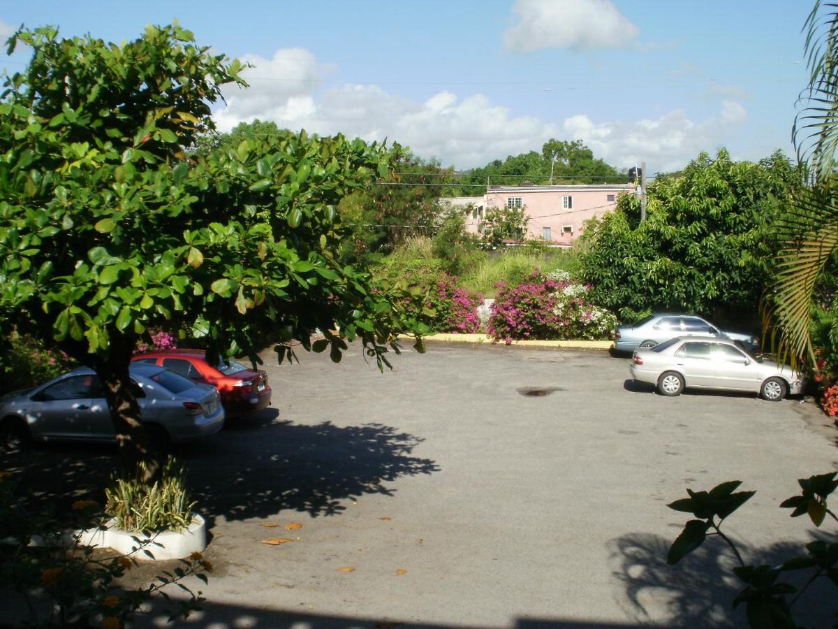 Pineapple Court Ocho Rios
