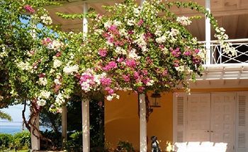 Acomodação com café da manhã  Polkerris 3*