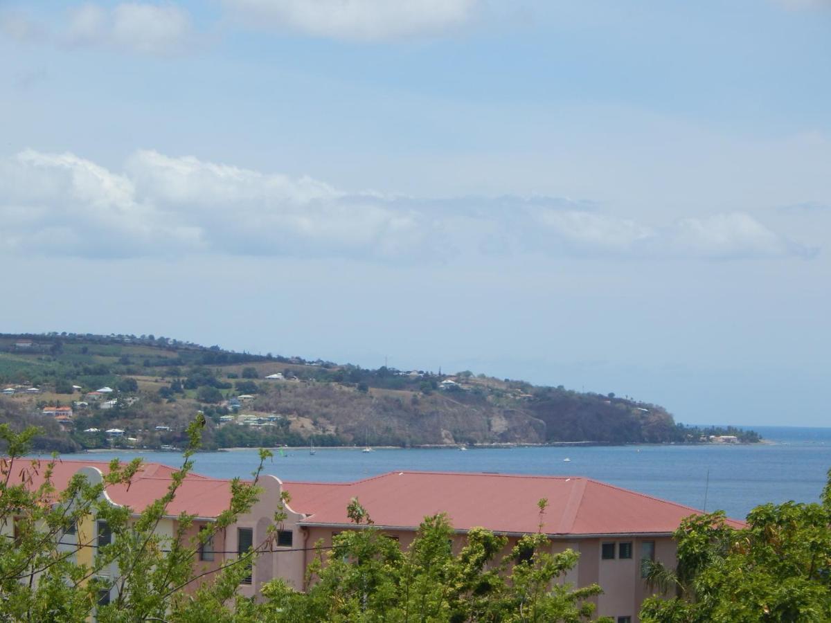 La Kay Dede Avec Piscine * Saint-Pierre