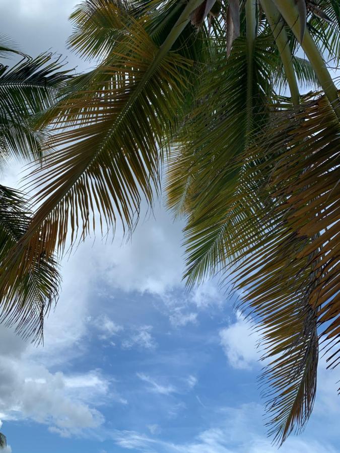 Apartment Sweet Serenity St Croix Usvi *